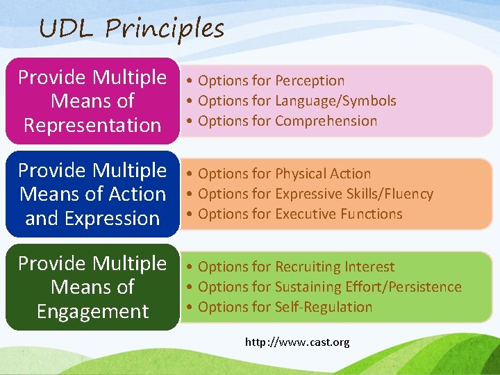 UDL Principles Provide Multiple Means of Representation • Options for Perception • Options for