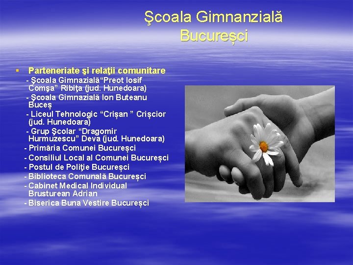 Şcoala Gimnanzială Bucureșci § Parteneriate şi relaţii comunitare - Şcoala Gimnazială“Preot Iosif Comşa” Ribiţa