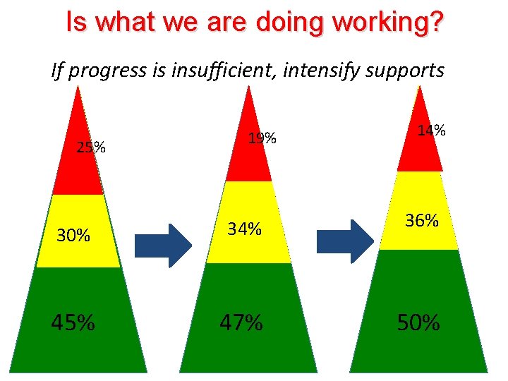 Is what we are doing working? If progress is insufficient, intensify supports 25% 19%
