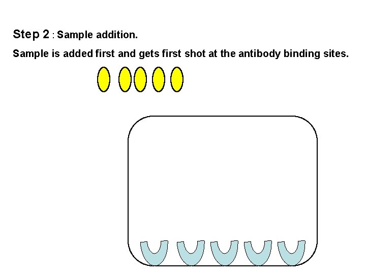 Step 2 : Sample addition. Sample is added first and gets first shot at