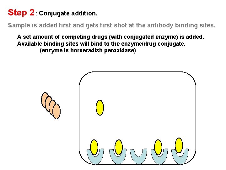 Step 2 : Conjugate addition. Sample is added first and gets first shot at