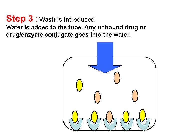 Step 3 : Wash is introduced Water is added to the tube. Any unbound