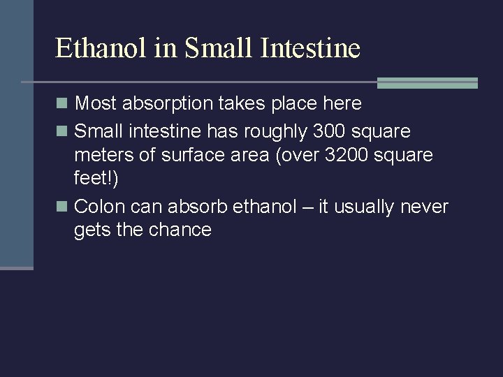 Ethanol in Small Intestine n Most absorption takes place here n Small intestine has