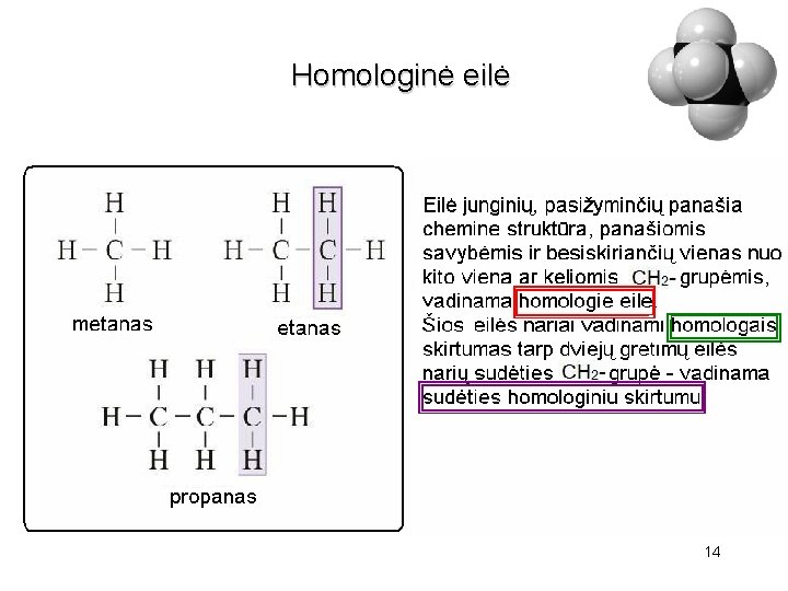 Homologinė eilė 14 