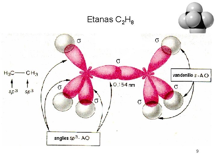 Etanas C 2 H 8 9 