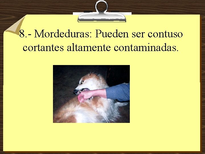 8. - Mordeduras: Pueden ser contuso cortantes altamente contaminadas. 