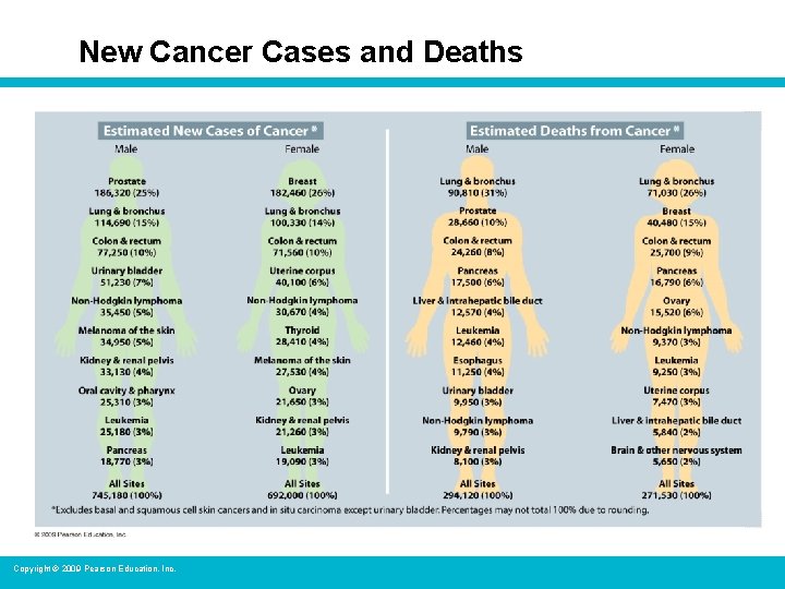 New Cancer Cases and Deaths Copyright © 2009 Pearson Education, Inc. 