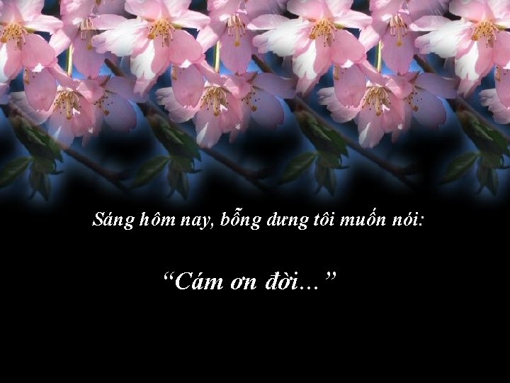 Sáng hôm nay, bỗng dưng tôi muốn nói: “Cám ơn đời…” 