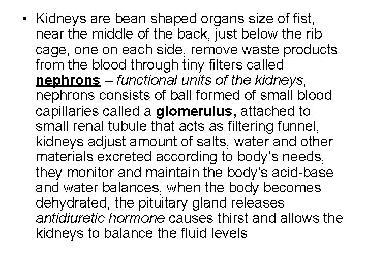  • Kidneys are bean shaped organs size of fist, near the middle of