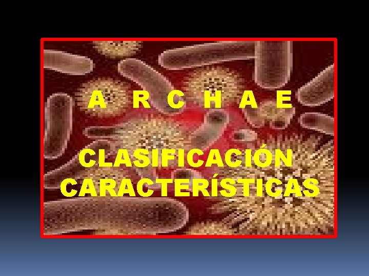 A R C H A E CLASIFICACIÓN CARACTERÍSTICAS 