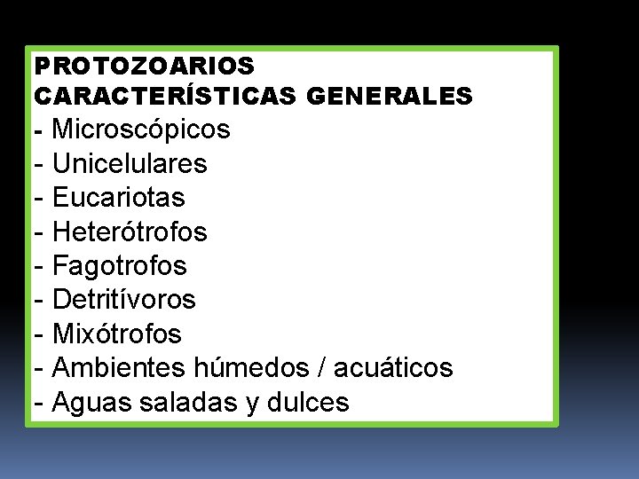 PROTOZOARIOS CARACTERÍSTICAS GENERALES - Microscópicos - Unicelulares - Eucariotas - Heterótrofos - Fagotrofos -