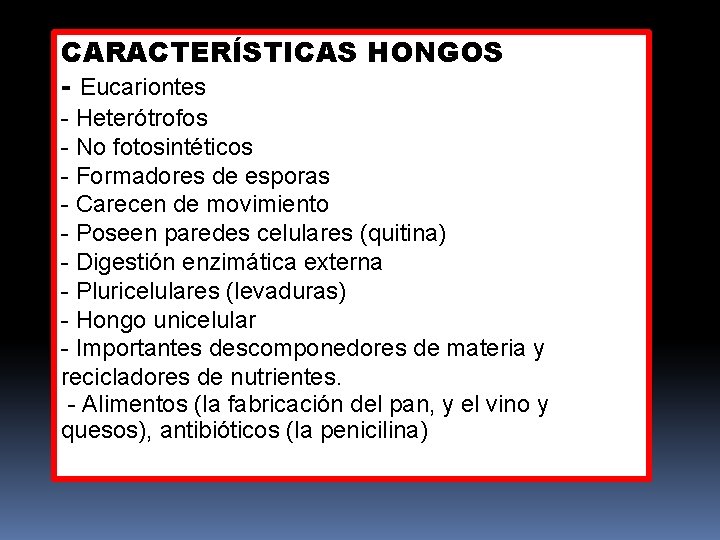 CARACTERÍSTICAS HONGOS - Eucariontes - Heterótrofos - No fotosintéticos - Formadores de esporas -