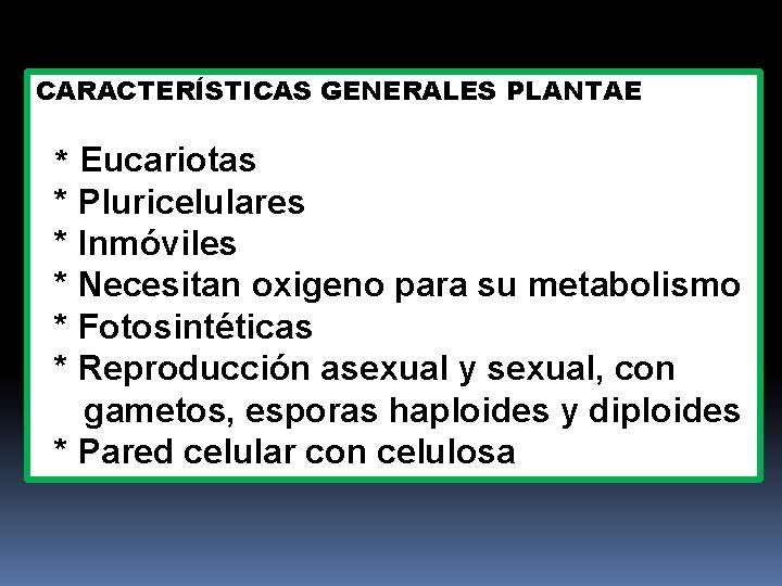 CARACTERÍSTICAS GENERALES PLANTAE * Eucariotas * Pluricelulares * Inmóviles * Necesitan oxigeno para su