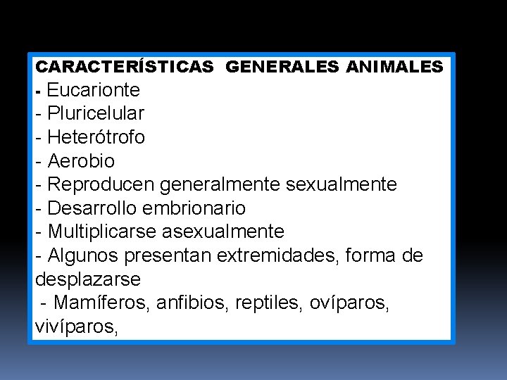 CARACTERÍSTICAS GENERALES ANIMALES - Eucarionte - Pluricelular - Heterótrofo - Aerobio - Reproducen generalmente