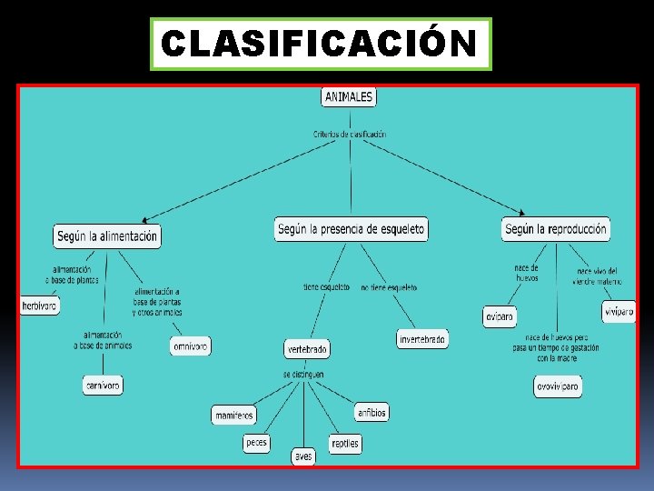 CLASIFICACIÓN 