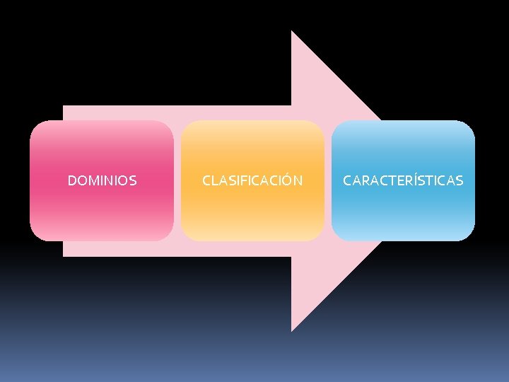 DOMINIOS CLASIFICACIÓN CARACTERÍSTICAS 