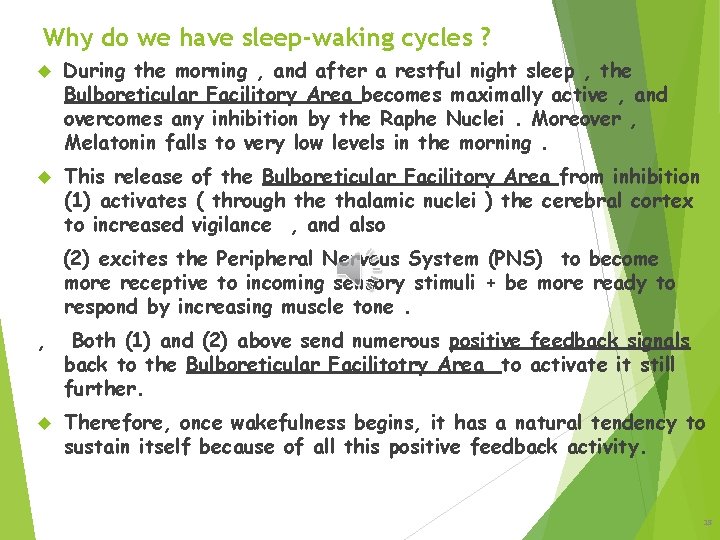 Why do we have sleep-waking cycles ? During the morning , and after a