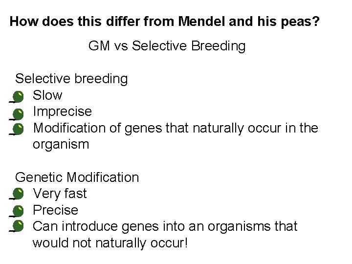 How does this differ from Mendel and his peas? GM vs Selective Breeding Selective