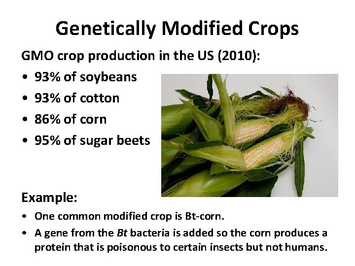 Genetically Modified Crops GMO crop production in the US (2010): • 93% of soybeans