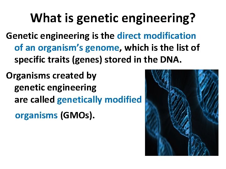 What is genetic engineering? Genetic engineering is the direct modification of an organism’s genome,
