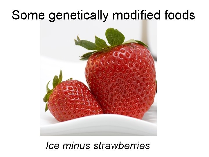 Some genetically modified foods Ice minus strawberries 