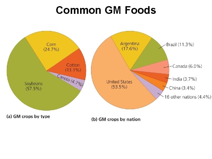 Common GM Foods 