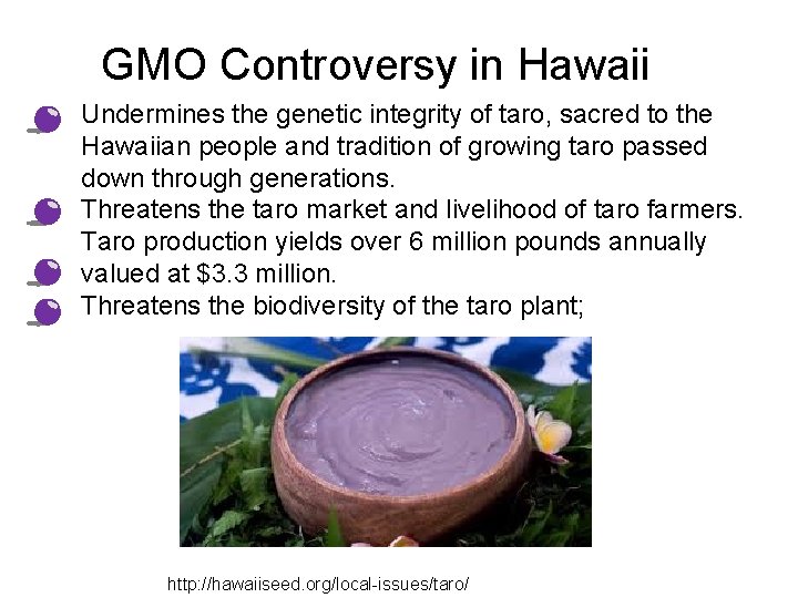 GMO Controversy in Hawaii • • • Undermines the genetic integrity of taro, sacred
