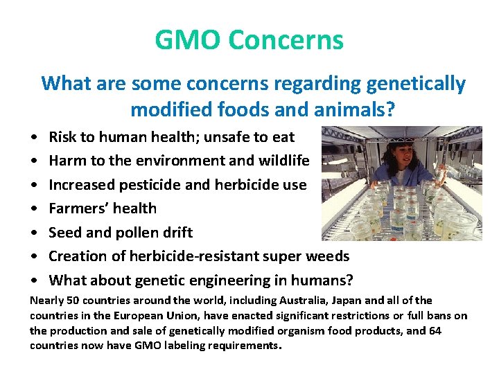 GMO Concerns What are some concerns regarding genetically modified foods and animals? • •