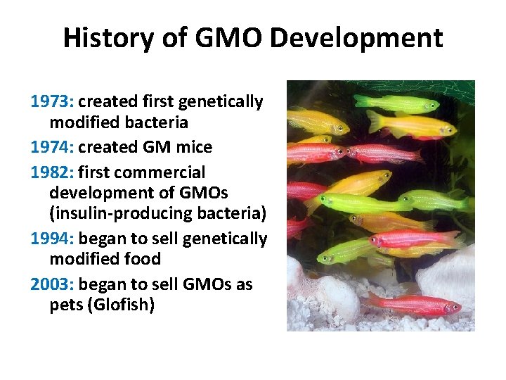 History of GMO Development 1973: created first genetically modified bacteria 1974: created GM mice