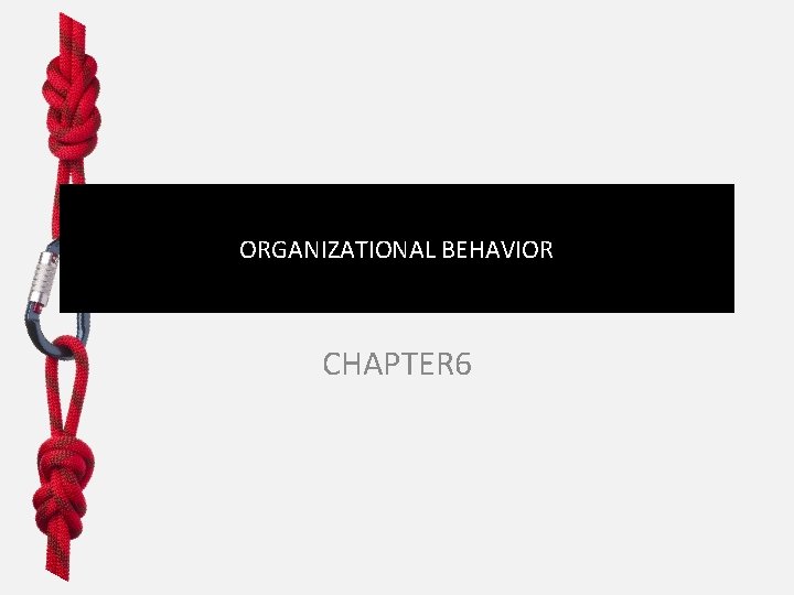 ORGANIZATIONAL BEHAVIOR CHAPTER 6 