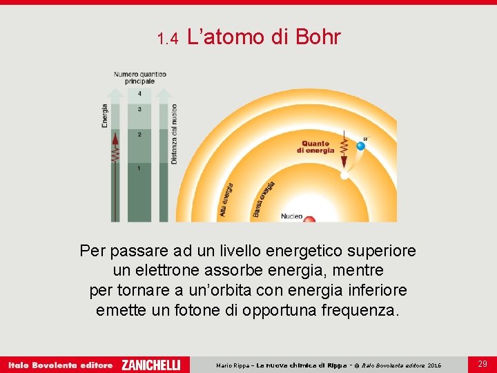 1. 4 L’atomo di Bohr Per passare ad un livello energetico superiore un elettrone