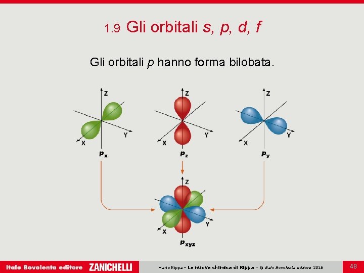 1. 9 Gli orbitali s, p, d, f Gli orbitali p hanno forma bilobata.