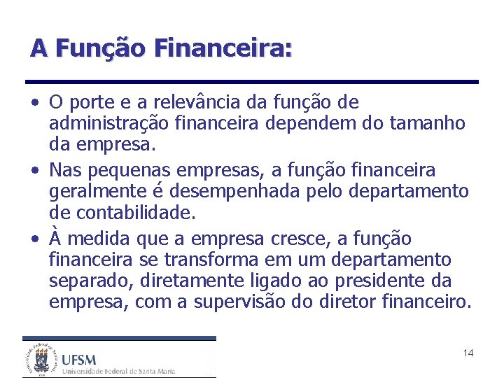 A Função Financeira: • O porte e a relevância da função de administração financeira