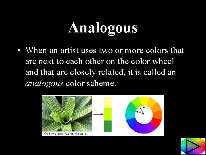 Analogous • When an artist uses two or more colors that are next to