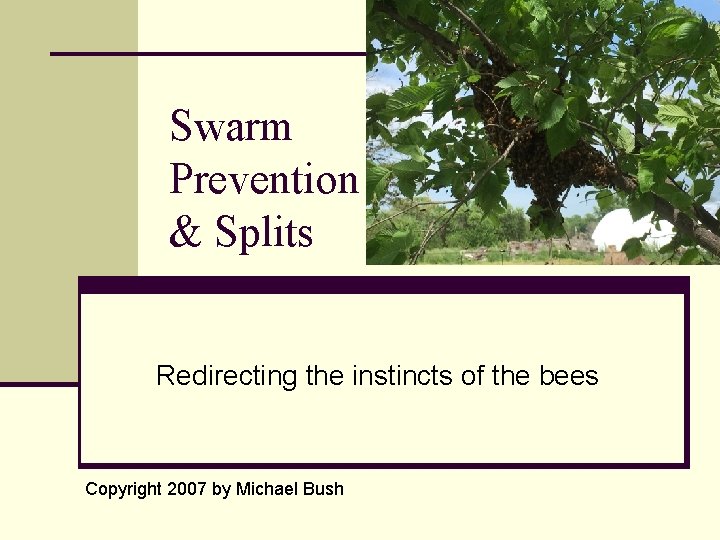 Swarm Prevention & Splits Redirecting the instincts of the bees Copyright 2007 by Michael