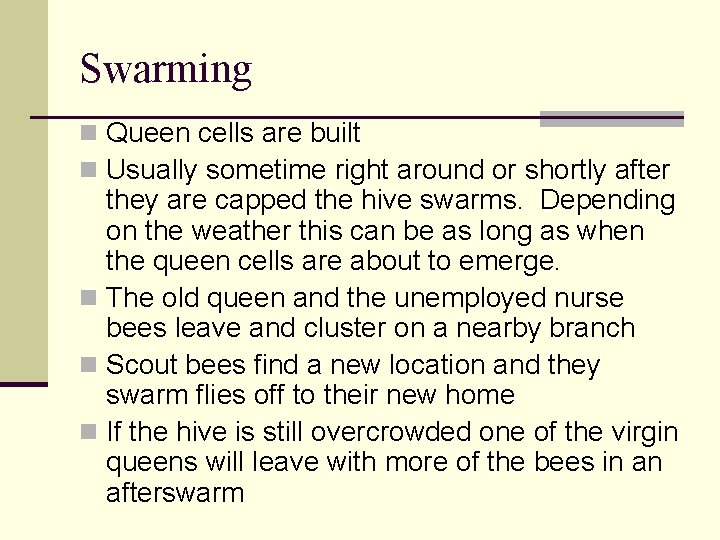 Swarming n Queen cells are built n Usually sometime right around or shortly after