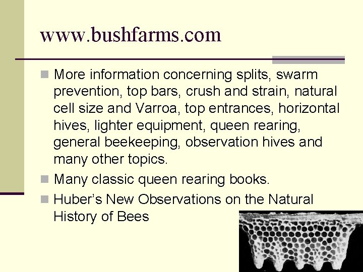 www. bushfarms. com n More information concerning splits, swarm prevention, top bars, crush and