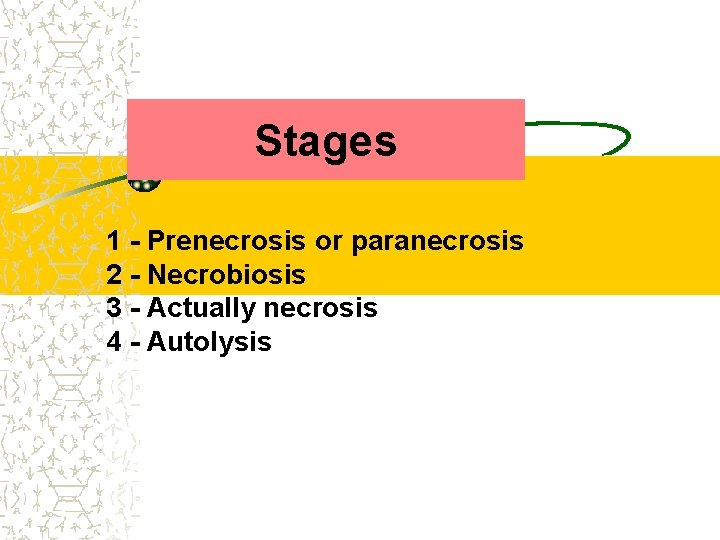 Stages 1 - Preneсrosis or paranecrosis 2 - Necrobiosis 3 - Actually necrosis 4