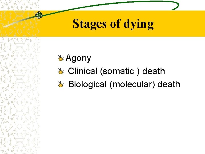 Stages of dying Agony Clinical (somatic ) death Biological (molecular) death 