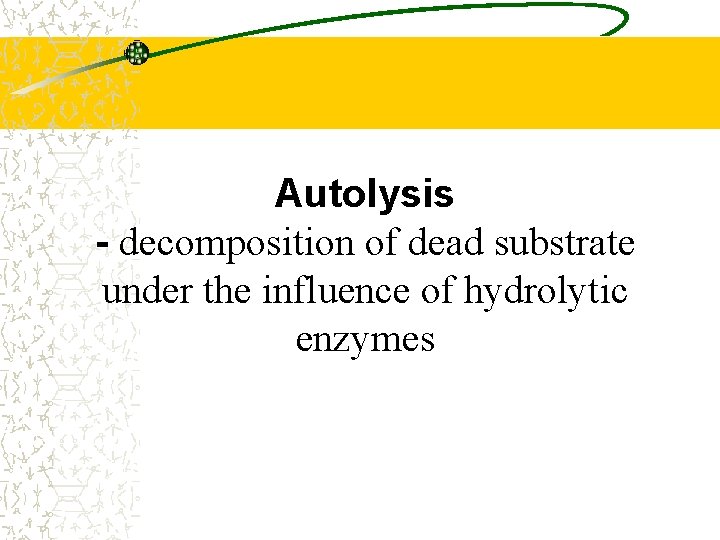 Autolysis - decomposition of dead substrate under the influence of hydrolytic enzymes 