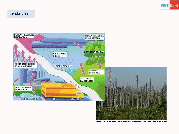 Kisele kiše Autorica preuzela slike sa stranice: http: //www. maturski. org/Zastita. Zivotne. Sredine/Zastita. Suma.