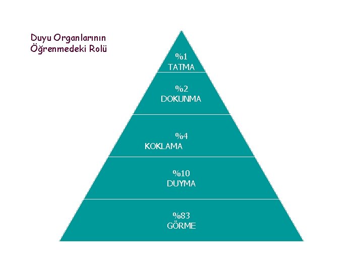 Duyu Organlarının Öğrenmedeki Rolü %1 TATMA %2 DOKUNMA %4 KOKLAMA %10 DUYMA %83 GÖRME