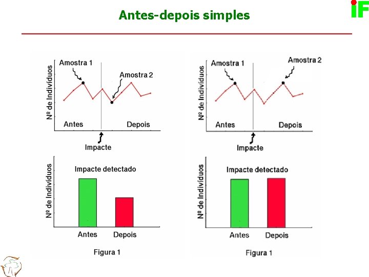 33 Antes-depois simples 