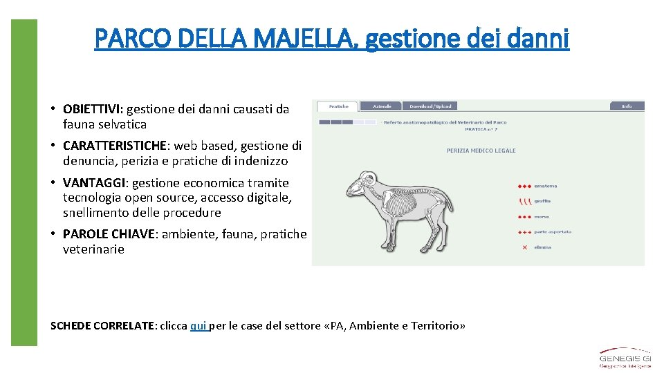 PARCO DELLA MAJELLA, gestione dei danni • OBIETTIVI: gestione dei danni causati da fauna