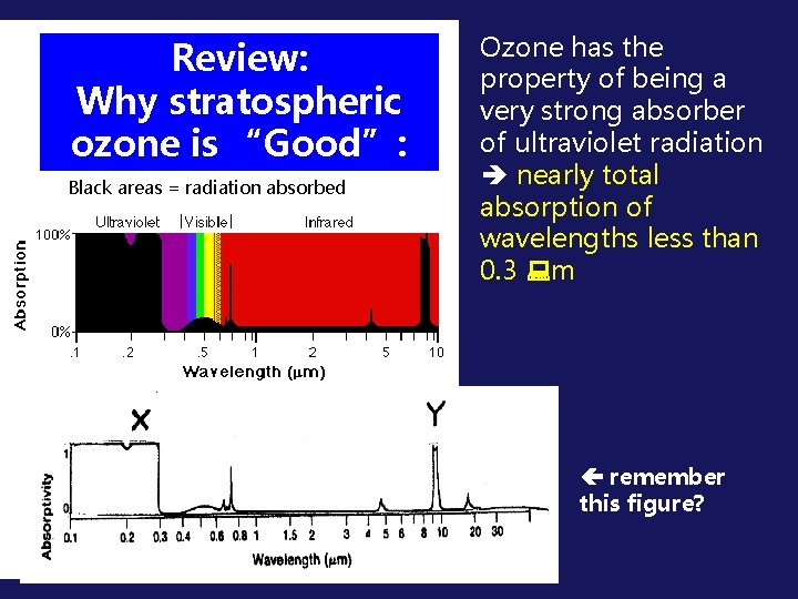 Review: Why stratospheric ozone is “Good”: Black areas = radiation absorbed Ozone has the