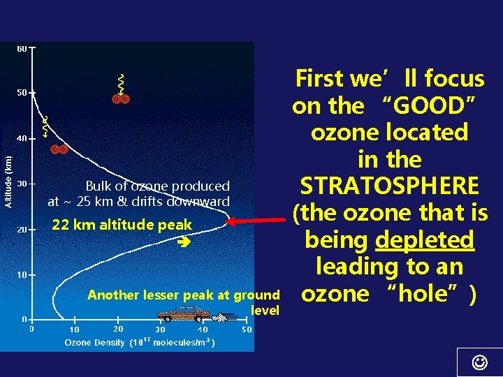 Bulk of ozone produced at ~ 25 km & drifts downward 22 km altitude