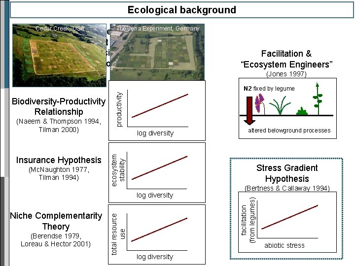 Ecological background The Jena Experiment, Germany Cedar Creek, USA Results from large-scale grassland biodiversity