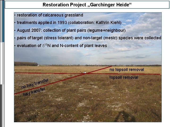 Restoration Project „Garchinger Heide“ • restoration of calcareous grassland • treatments applied in 1993