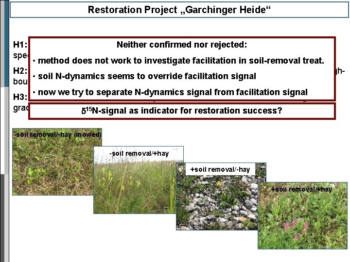Restoration Project „Garchinger Heide“ H 1: The presence of a legume Neither species confirmed