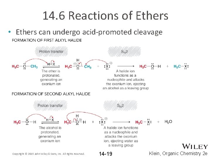 14. 6 Reactions of Ethers • Ethers can undergo acid-promoted cleavage Copyright © 2015